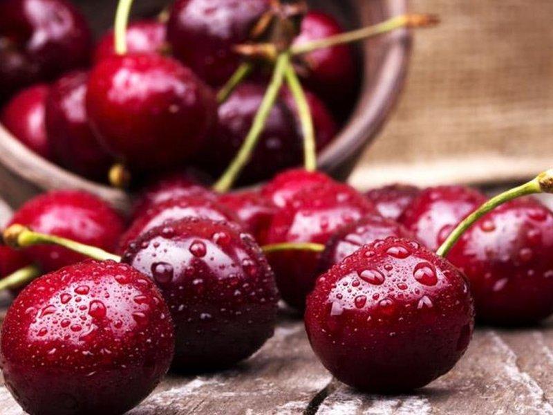 Вишня купить саженцы из питомника в Волгодонске